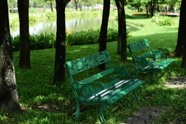 Bahar Balosu Bahçesi. Renkli çiçeklerden oluşan güzel bir bahçe. Bahçe düzenlemeleri. Park et. Güzel Bahçe.