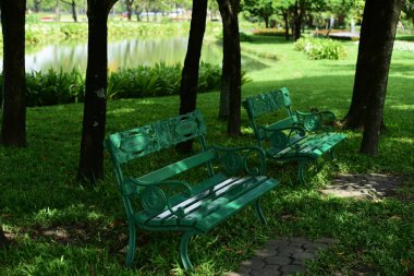 Bahar Balosu Bahçesi. Renkli çiçeklerden oluşan güzel bir bahçe. Bahçe düzenlemeleri. Park et. Güzel Bahçe.