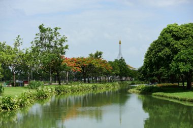 Bahar Balosu Bahçesi. Renkli çiçeklerden oluşan güzel bir bahçe. Bahçe düzenlemeleri. Park et. Güzel Bahçe.