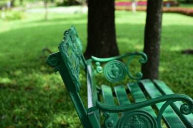 Bahar Balosu Bahçesi. Renkli çiçeklerden oluşan güzel bir bahçe. Bahçe düzenlemeleri. Park et. Güzel Bahçe.