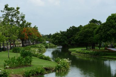 Bahar resmi bahçe. Güzel bahçe yeşil bitki. Düzenlenmiş resmi Garden.Colorful çiçek soyut ışık ve bokeh arka plan için. Bahar resmi bahçe. Renkli çiçek güzel bahçe.