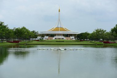 Bahar resmi bahçe. Güzel bahçe yeşil bitki. Resmi bahçe. Park. Güzel güzel renkli çiçekler.