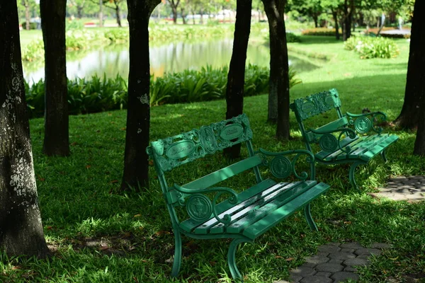 Bahar Balosu Bahçesi. Renkli çiçeklerden oluşan güzel bir bahçe. Bahçe düzenlemeleri. Park et. Güzel Bahçe.