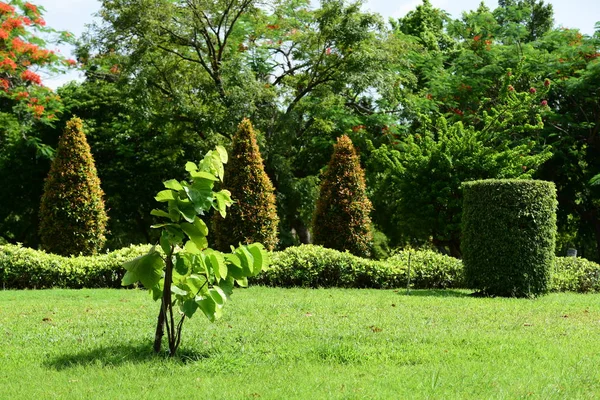Bahar Balosu Bahçesi. Renkli çiçeklerden oluşan güzel bir bahçe. Bahçe düzenlemeleri. Park et. Güzel Bahçe.