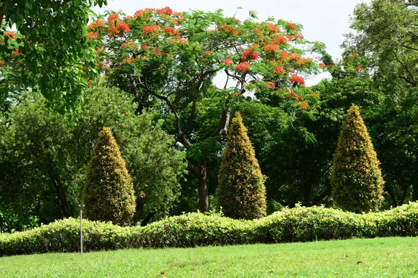 Frühlingshafter Garten Schöner Garten Mit Farbenfrohen Blumen Formaler Garten Park — Stockfoto