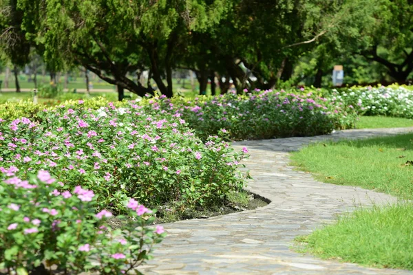 Jardín Formal Primavera Hermoso Jardín Flores Coloridas Jardín Formal Ajardinado — Foto de Stock