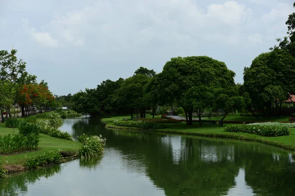 Bahar resmi bahçe. Güzel bahçe yeşil bitki. Düzenlenmiş resmi Garden.Colorful çiçek soyut ışık ve bokeh arka plan için. Bahar resmi bahçe. Renkli çiçek güzel bahçe.