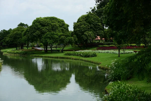 Soyut ışık ve bokeh arka plan için renkli çiçeklerle. Bahar resmi bahçe. Renkli çiçek güzel bahçe.