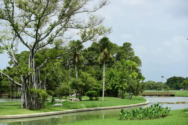Bahar resmi bahçe. Güzel bahçe yeşil bitki. Resmi bahçe. Park. Güzel güzel renkli çiçekler.