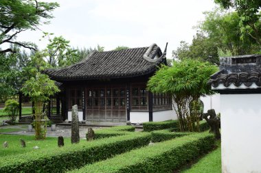 Soyut ışık ve bokeh arka plan için renkli çiçeklerle. Bahar resmi bahçe. Renkli çiçek güzel bahçe.