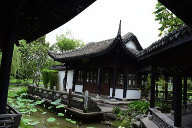 Bahar resmi Bahçe. Renkli çiçek güzel bir bahçe. Resmi Bahçe. Park. Güzel Garden.Colorful çiçekler.