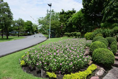 Soyut ışık ve bokeh arka plan için renkli çiçeklerle. Bahar resmi bahçe. Renkli çiçek güzel bahçe.