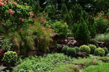 Soyut ışık ve bokeh arka plan için renkli çiçeklerle. Bahar resmi bahçe. Renkli çiçek güzel bahçe.