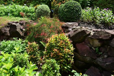 Soyut ışık ve bokeh arka plan için renkli çiçeklerle. Bahar resmi bahçe. Renkli çiçek güzel bahçe.