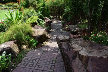 Bahar Balosu Bahçesi. Renkli çiçeklerden oluşan güzel bir bahçe. Bahçe düzenlemeleri. Park et. Güzel Bahçe.