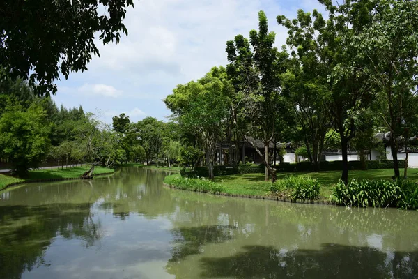 Bahar resmi bahçe. Güzel bahçe yeşil bitki. Resmi bahçe. Park. Güzel güzel renkli çiçekler.