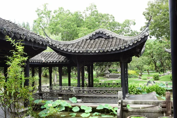 Bahar resmi bahçe. Güzel bahçe yeşil bitki. Resmi bahçe. Park. Güzel güzel renkli çiçekler.