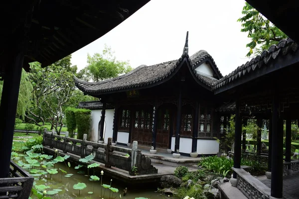 Bahar resmi Bahçe. Renkli çiçek güzel bir bahçe. Resmi Bahçe. Park. Güzel Garden.Colorful çiçekler.