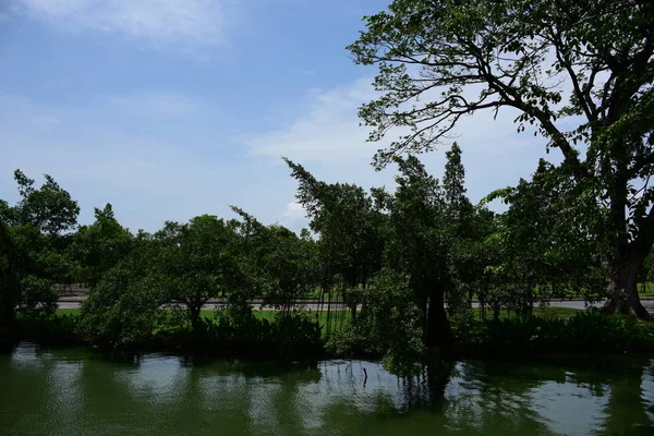 Bahar resmi bahçe. Güzel bahçe yeşil bitki. Resmi bahçe. Park. Güzel güzel renkli çiçekler.