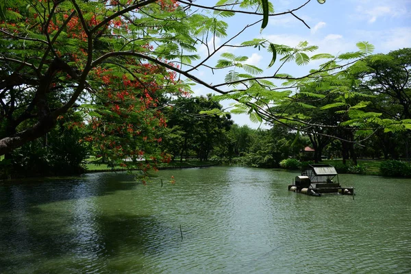 Bahar Balosu Bahçesi. Renkli çiçeklerden oluşan güzel bir bahçe. Bahçe düzenlemeleri. Park et. Güzel Bahçe.