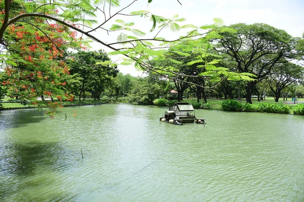 Soyut ışık ve bokeh arka plan için renkli çiçeklerle. Bahar resmi bahçe. Renkli çiçek güzel bahçe.