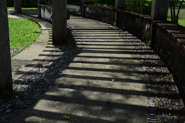 Wooden Footpath River Sunny Day — Stock Photo, Image