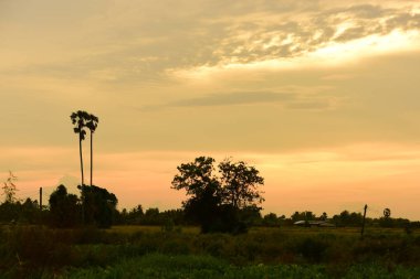 gökyüzü, alan, bulutlar, gün batımı, günbatımı manzara. Alan ve karanlık clouds.sunset yeşil alanı, göl günbatımı ile gökyüzü ve altın bulutlu gökyüzü. Ve güzel su yansıma, parlak renkli gökyüzü