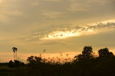 gökyüzü, alan, bulutlar, gün batımı, günbatımı manzara. Alan ve karanlık clouds.sunset yeşil alanı, göl günbatımı ile gökyüzü ve altın bulutlu gökyüzü. Ve güzel su yansıma, parlak renkli gökyüzü