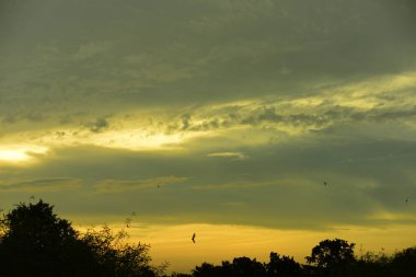 gökyüzü, alan, bulutlar, gün batımı, günbatımı manzara. Alan ve karanlık clouds.sunset yeşil alanı, göl günbatımı ile gökyüzü ve altın bulutlu gökyüzü. Ve güzel su yansıma, parlak renkli gökyüzü