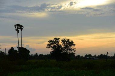 gökyüzü, alan, bulutlar, gün batımı, günbatımı manzara. Alan ve karanlık clouds.sunset yeşil alanı, göl günbatımı ile gökyüzü ve altın bulutlu gökyüzü. Ve güzel su yansıma, parlak renkli gökyüzü