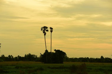 gökyüzü, alan, bulutlar, gün batımı, günbatımı manzara. Alan ve karanlık clouds.sunset yeşil alanı, göl günbatımı ile gökyüzü ve altın bulutlu gökyüzü. Ve güzel su yansıma, parlak renkli gökyüzü