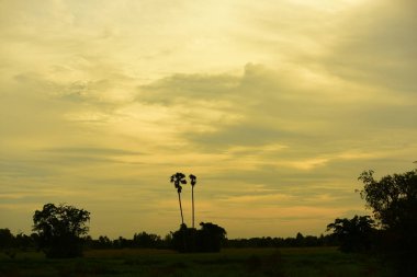gökyüzü, alan, bulutlar, gün batımı, günbatımı manzara. Alan ve karanlık clouds.sunset yeşil alanı, göl günbatımı ile gökyüzü ve altın bulutlu gökyüzü. Ve güzel su yansıma, parlak renkli gökyüzü