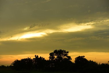 gökyüzü, alan, bulutlar, gün batımı, günbatımı manzara. Alan ve karanlık clouds.sunset yeşil alanı, göl günbatımı ile gökyüzü ve altın bulutlu gökyüzü. Ve güzel su yansıma, parlak renkli gökyüzü