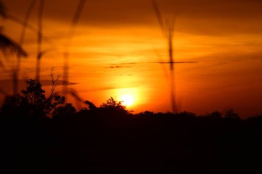 gökyüzü, alan, bulutlar, gün batımı, günbatımı manzara. Alan ve karanlık clouds.sunset yeşil alanı, göl günbatımı ile gökyüzü ve altın bulutlu gökyüzü. Ve güzel su yansıma, parlak renkli gökyüzü