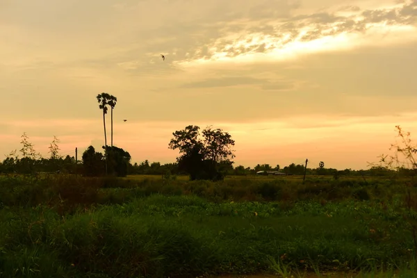 gökyüzü, alan, bulutlar, gün batımı, günbatımı manzara. Alan ve karanlık clouds.sunset yeşil alanı, göl günbatımı ile gökyüzü ve altın bulutlu gökyüzü. Ve güzel su yansıma, parlak renkli gökyüzü