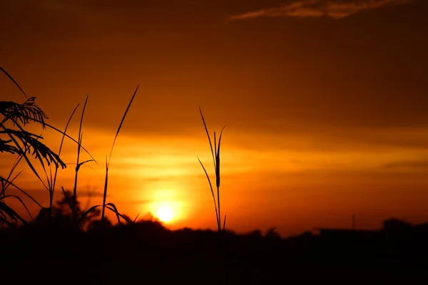 Cielo Campo Nubes Puesta Sol Puesta Sol Paisaje Campo Cielo — Foto de Stock