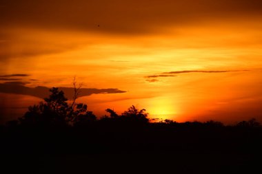 gökyüzü, alan, bulutlar, gün batımı, günbatımı manzara. Alan ve karanlık clouds.sunset yeşil alanı, göl günbatımı ile gökyüzü ve altın bulutlu gökyüzü. Ve güzel su yansıma, parlak renkli gökyüzü