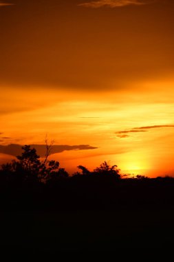 gökyüzü, alan, bulutlar, gün batımı, günbatımı manzara. Alan ve karanlık clouds.sunset yeşil alanı, göl günbatımı ile gökyüzü ve altın bulutlu gökyüzü. Ve güzel su yansıma, parlak renkli gökyüzü