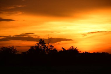 gökyüzü, alan, bulutlar, gün batımı, günbatımı manzara. Alan ve karanlık clouds.sunset yeşil alanı, göl günbatımı ile gökyüzü ve altın bulutlu gökyüzü. Ve güzel su yansıma, parlak renkli gökyüzü