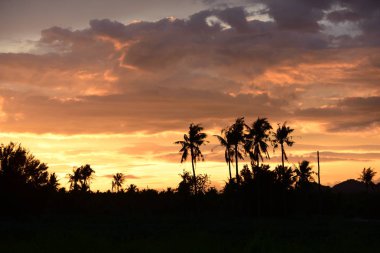 gökyüzü, alan, bulutlar, gün batımı, günbatımı manzara. Alan ve karanlık clouds.sunset yeşil alanı, göl günbatımı ile gökyüzü ve altın bulutlu gökyüzü. Ve güzel su yansıma, parlak renkli gökyüzü