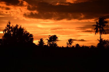 gökyüzü, alan, bulutlar, gün batımı, günbatımı manzara. Alan ve karanlık clouds.sunset yeşil alanı, göl günbatımı ile gökyüzü ve altın bulutlu gökyüzü. Ve güzel su yansıma, parlak renkli gökyüzü