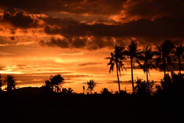 gökyüzü, alan, bulutlar, gün batımı, günbatımı manzara. Alan ve karanlık clouds.sunset yeşil alanı, göl günbatımı ile gökyüzü ve altın bulutlu gökyüzü. Ve güzel su yansıma, parlak renkli gökyüzü