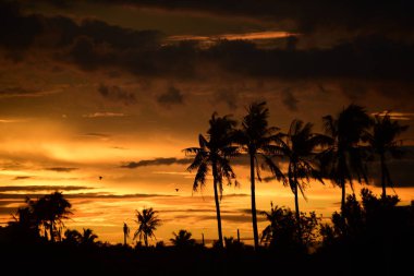 gökyüzü, alan, bulutlar, gün batımı, günbatımı manzara. Alan ve karanlık clouds.sunset yeşil alanı, göl günbatımı ile gökyüzü ve altın bulutlu gökyüzü. Ve güzel su yansıma, parlak renkli gökyüzü