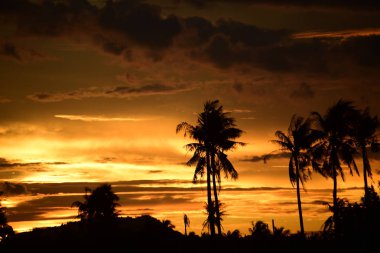 günbatımı manzara. Alan ve karanlık clouds.sunset yeşil alanı, göl günbatımı ile gökyüzü ve altın bulutlu gökyüzü. Ve güzel su yansıma, parlak renkli gökyüzü ve bulutlar olarak geri