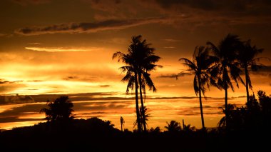 günbatımı manzara. Alan ve karanlık clouds.sunset yeşil alanı, göl günbatımı ile gökyüzü ve altın bulutlu gökyüzü. Ve güzel su yansıma, parlak renkli gökyüzü ve bulutlar olarak geri
