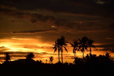 günbatımı manzara. Alan ve karanlık clouds.sunset yeşil alanı, göl günbatımı ile gökyüzü ve altın bulutlu gökyüzü. Ve güzel su yansıma, parlak renkli gökyüzü ve bulutlar olarak geri