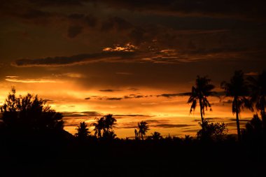 günbatımı manzara. Alan ve karanlık clouds.sunset yeşil alanı, göl günbatımı ile gökyüzü ve altın bulutlu gökyüzü. Ve güzel su yansıma, parlak renkli gökyüzü ve bulutlar olarak geri