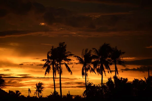 günbatımı manzara. Alan ve karanlık clouds.sunset yeşil alanı, göl günbatımı ile gökyüzü ve altın bulutlu gökyüzü. Ve güzel su yansıma, parlak renkli gökyüzü ve bulutlar olarak geri
