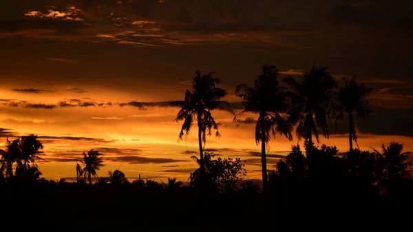 Paisaje Del Atardecer Campo Cielo Con Nubes Oscuras Atardecer Campo —  Fotos de Stock