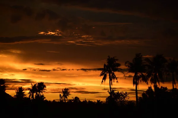 Силует Пальмових Дерев Заході Сонця — стокове фото
